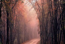 国米兵不血刃轻取桑普多利亚，继续保持不败