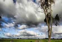 英国拳击选手斩获金牌，实力强劲