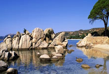 激烈较量，不畏强劲对手的拼搏